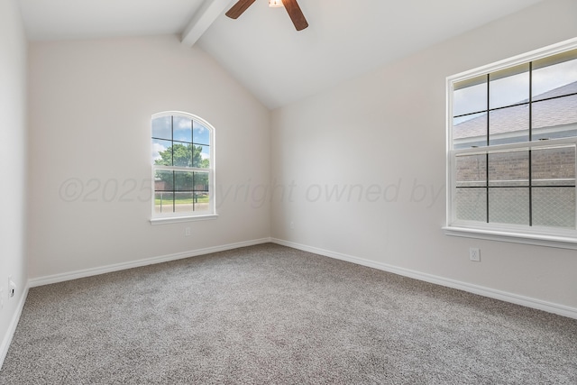 6100 Mckay Ct, Amarillo, TX 79118 - empty room featuring ceiling fan and carpet flooring