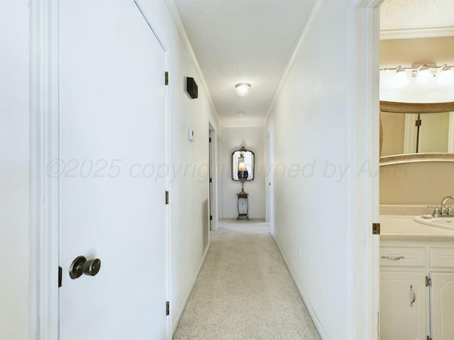 corridor with ornamental molding and sink