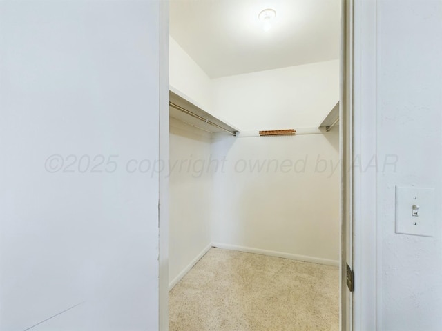 walk in closet featuring light colored carpet