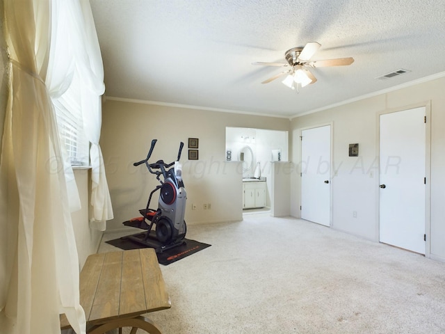 exercise room featuring crown molding, ceiling fan, light carpet, and a textured ceiling