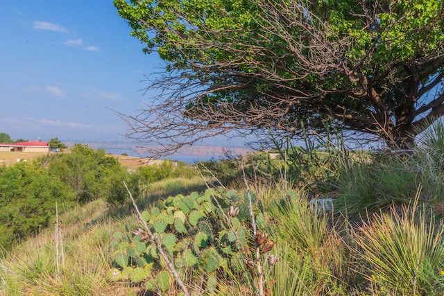 view of landscape