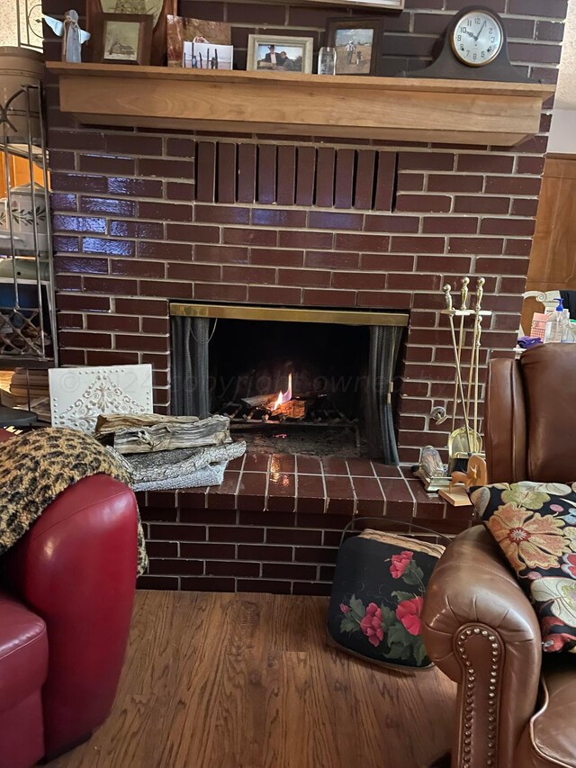 details featuring wood-type flooring and a fireplace