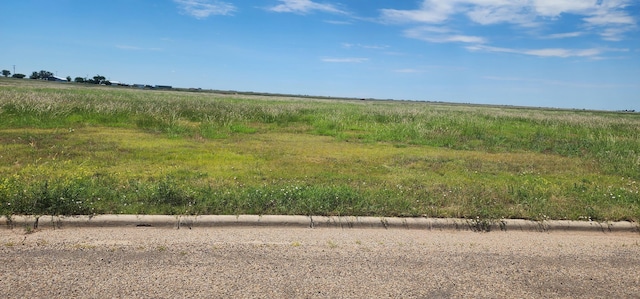 11100 Andretti Dr, Amarillo, TX 79118 - photo 4
