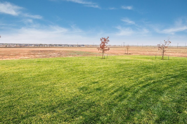 view of yard featuring a rural view