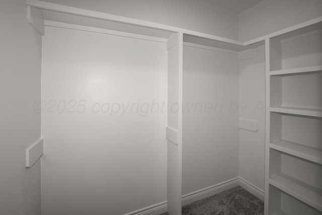 spacious closet with carpet