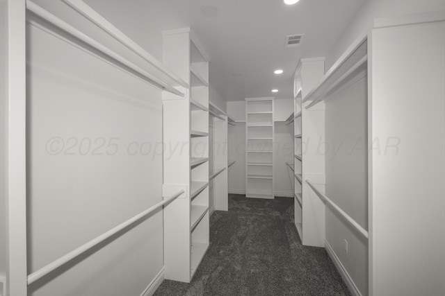 spacious closet with dark carpet