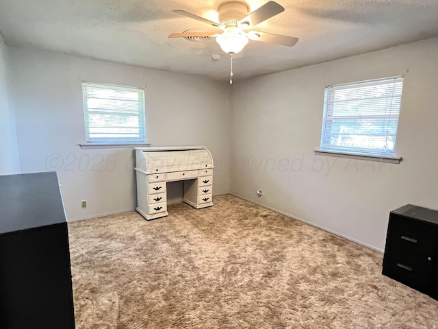 3101 Tyndale Ln, Amarillo, TX 79118 - photo 19