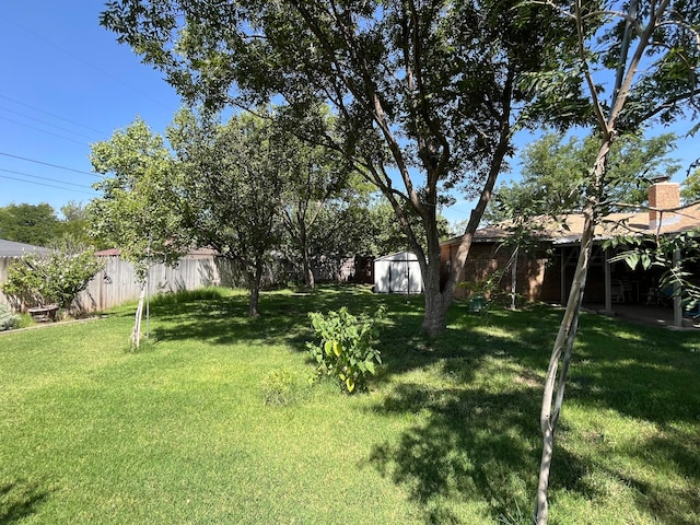 view of yard with a storage shed