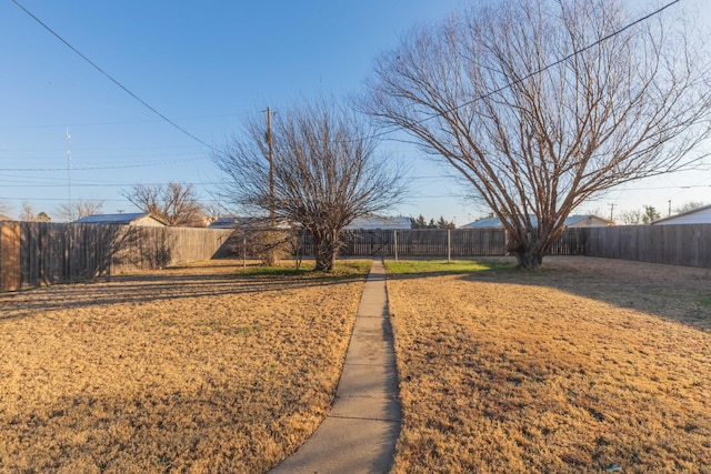 view of yard