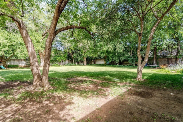 3208 S Ong St, Amarillo, TX 79109 - view of yard