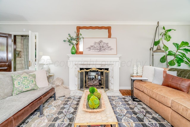 3208 S Ong St, Amarillo, TX 79109 - living area featuring ornamental molding, a premium fireplace, and wood finished floors
