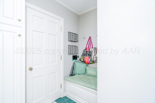 3208 S Ong St, Amarillo, TX 79109 - mudroom featuring ornamental molding and tile patterned floors
