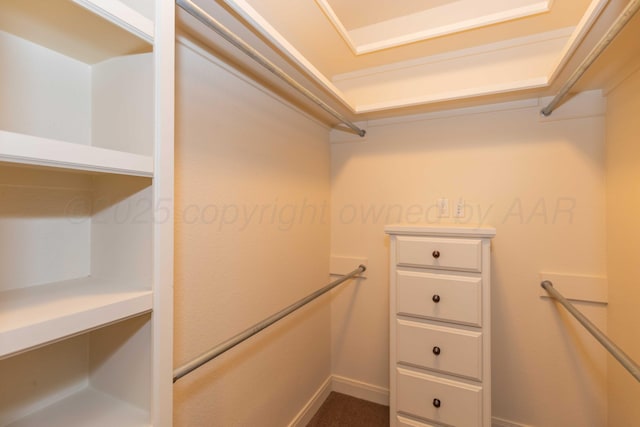 view of walk in closet