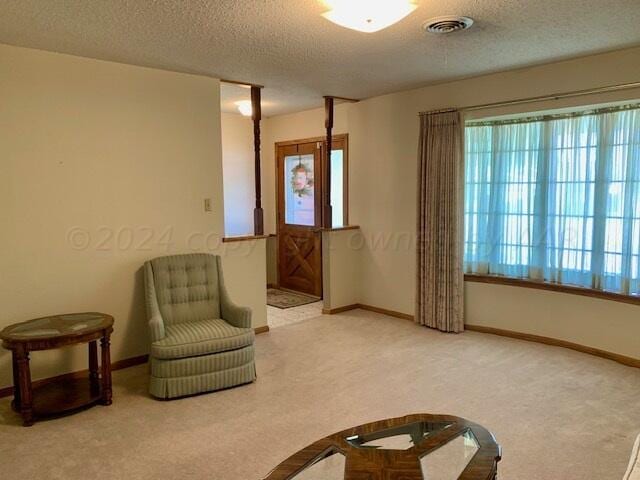 living area with carpet flooring and a textured ceiling