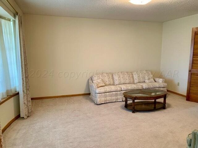 living room with carpet and a textured ceiling