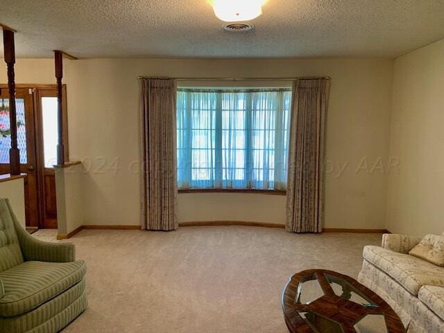 sitting room with light colored carpet, a healthy amount of sunlight, and a textured ceiling