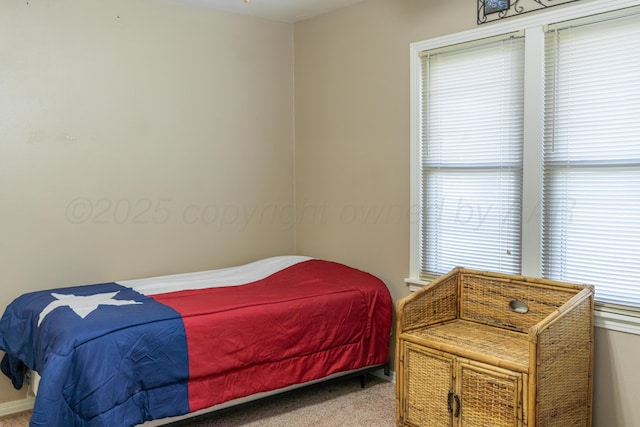 1002 S Main St, Wheeler, TX 79096 - view of carpeted bedroom