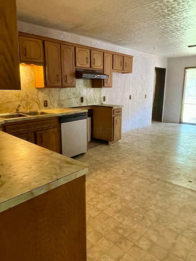 kitchen with dishwasher and sink