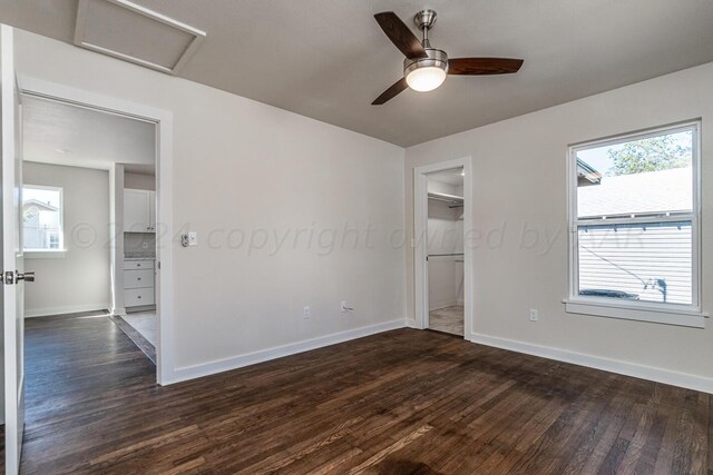 unfurnished bedroom with dark hardwood / wood-style flooring, a closet, a spacious closet, and ceiling fan