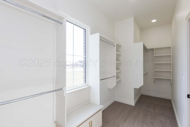 spacious closet with carpet flooring