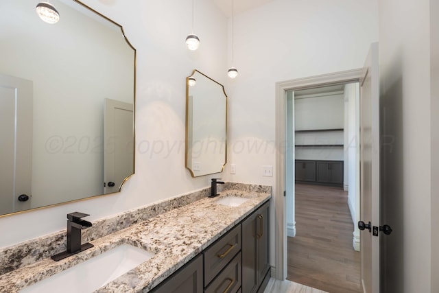 full bathroom featuring wood finished floors, a sink, and double vanity
