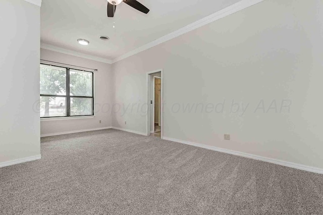 11500 Laurie Ln, Amarillo, TX 79119 - photo 17