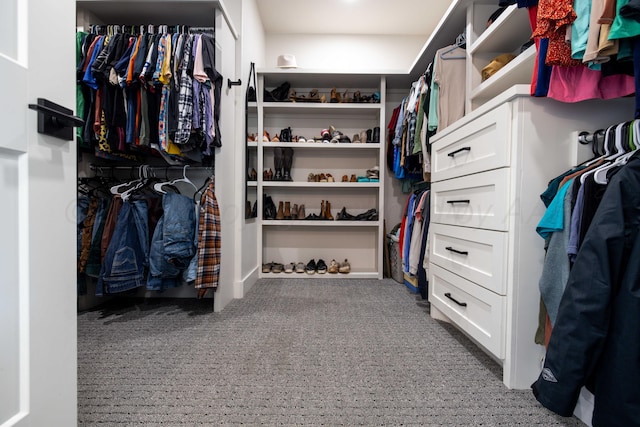 spacious closet featuring carpet flooring