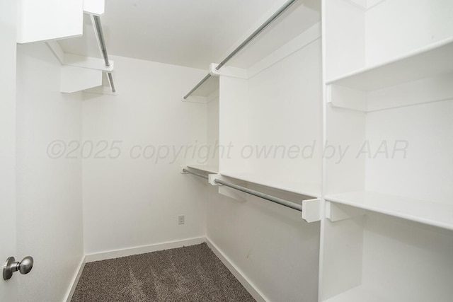 7200 Athens St, Amarillo, TX 79118 - walk in closet with dark colored carpet
