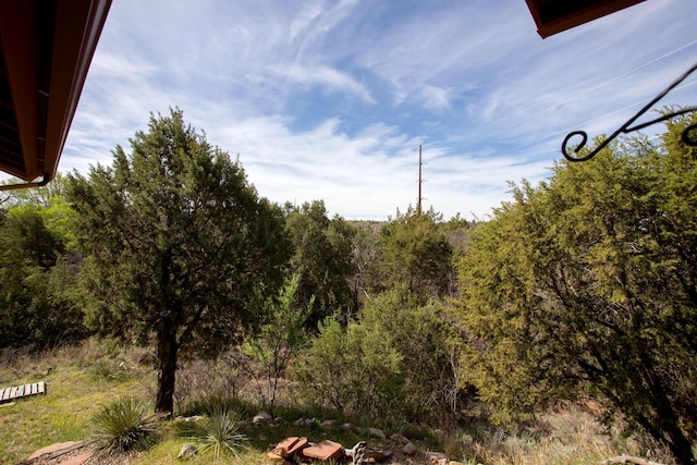 103 N Timbercreek Dr, Amarillo, TX 79118 - view of nature