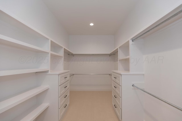 walk in closet with light colored carpet