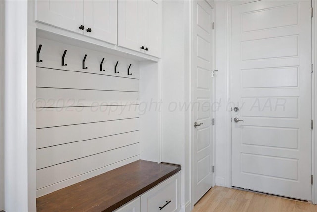 mudroom with light wood-type flooring