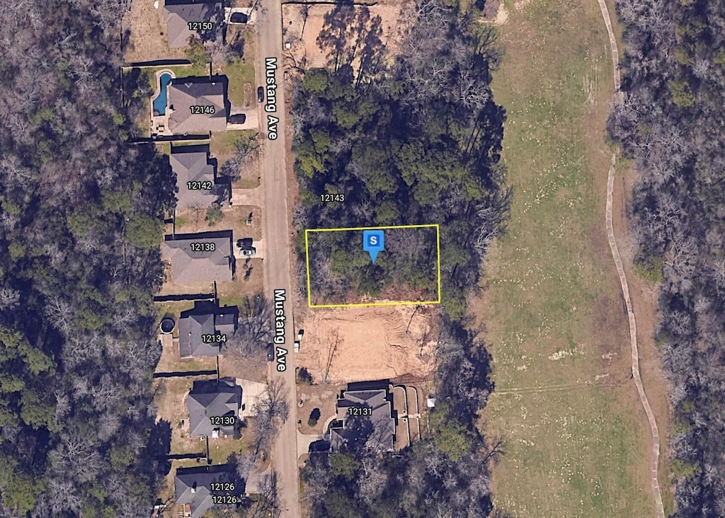 12137 Mustang Ave, Willis, TX 77378