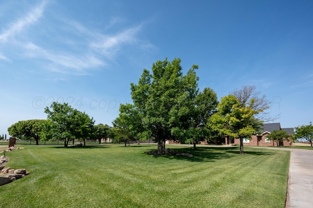 17300 White Wing Rd, Canyon, TX 79015 - photo 6