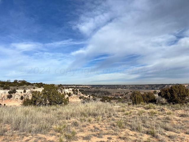 17200 Johns Way Blvd, Amarillo, TX 79118