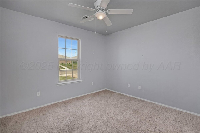 7004 Gemini Trl, Amarillo, TX 79118 - photo 12