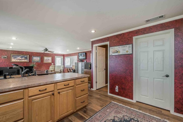 kitchen with dark hardwood / wood-style floors, crown molding, and ceiling fan