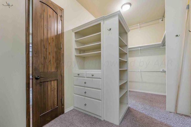 spacious closet featuring light carpet