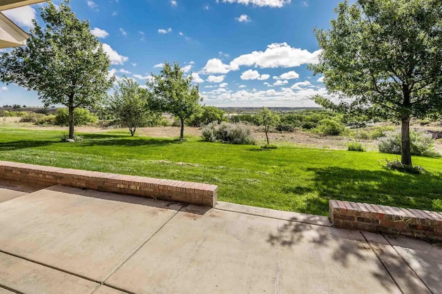 exterior space with a lawn and a patio area