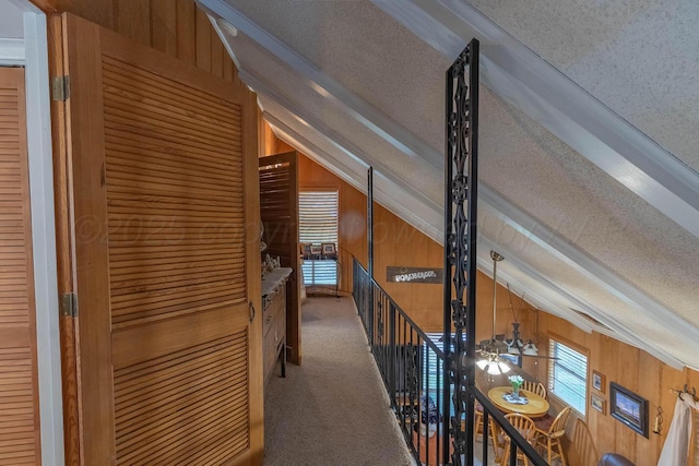 hall with wood walls, healthy amount of natural light, carpet flooring, and a textured ceiling