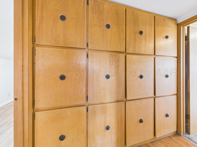 details featuring wood finished floors