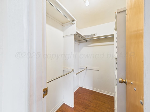 spacious closet featuring wood finished floors