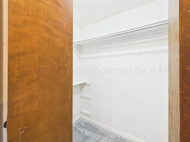 view of closet