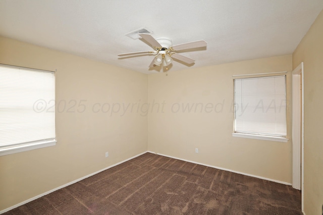 1204 Sycamore Ave, Amarillo, TX 79107 - photo 5