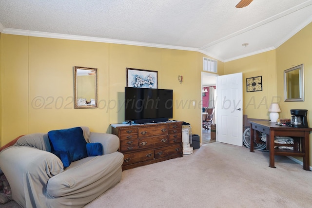 7901 Thornberry Dr, Amarillo, TX 79118 - photo 13