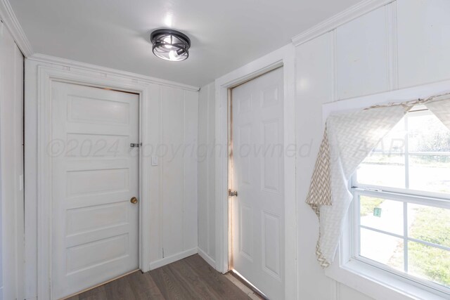 entrance foyer featuring dark hardwood / wood-style flooring