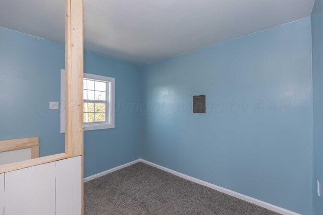 spare room featuring carpet flooring