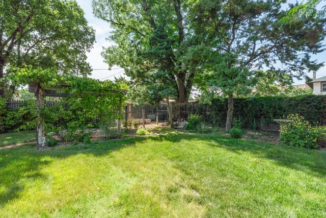 2523 5th Ave, Canyon, TX 79015 - view of yard