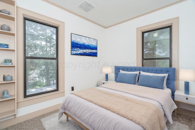 2523 5th Ave, Canyon, TX 79015 - bedroom featuring carpet, multiple windows, and ornamental molding