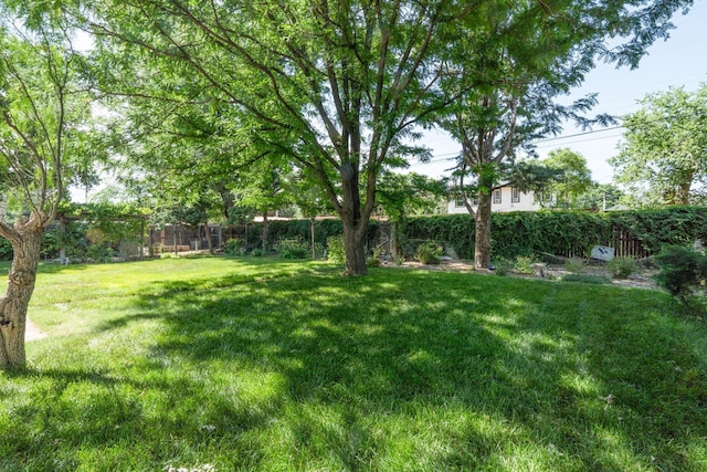 2523 5th Ave, Canyon, TX 79015 - view of yard