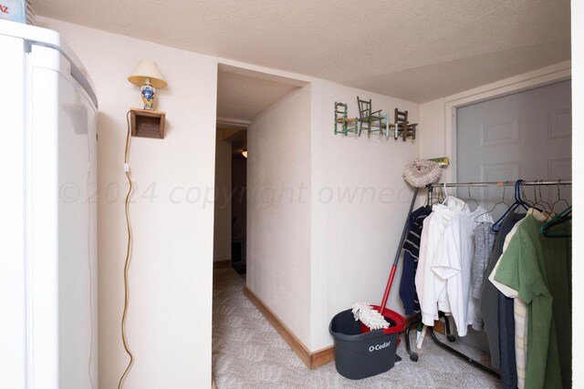 hall with carpet floors and a textured ceiling